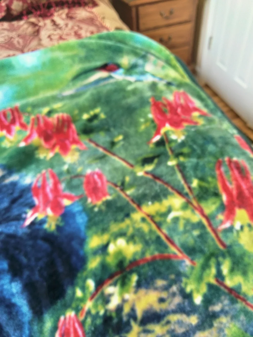 Northwest Plush Throw Blanket in Blue and Green Tie-Dye 54